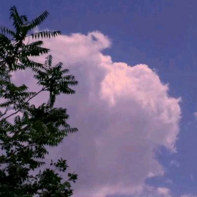 街篮手游九游版下载